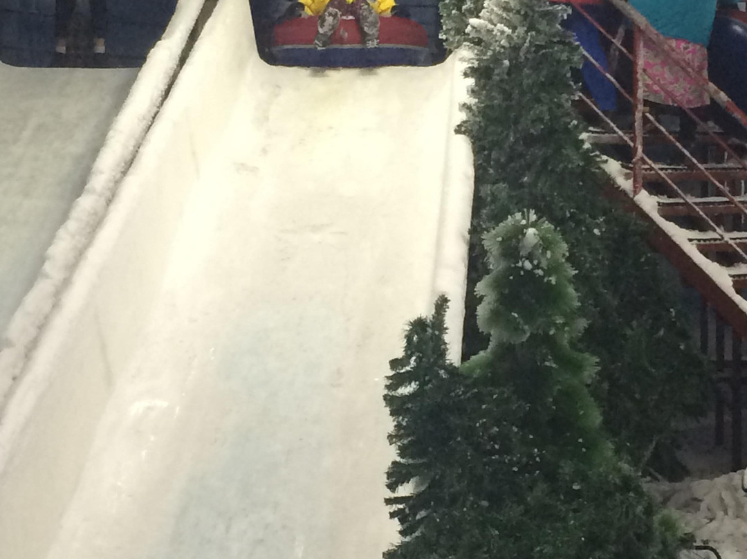Snow Park Kolkata景点图片