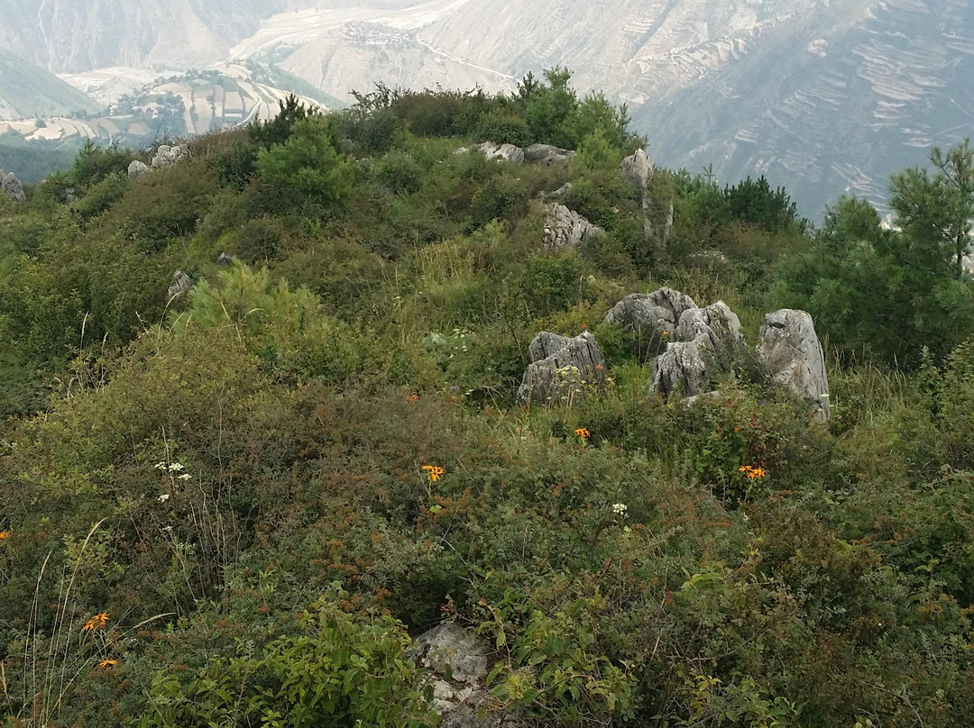 陇南香山自然保护区-礼县必去景点