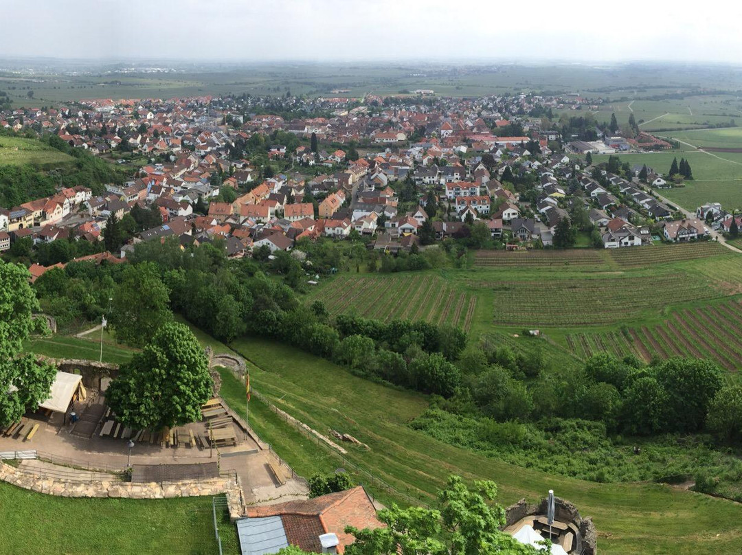 Burgruine Wachtenburg景点图片