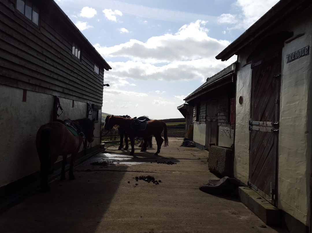 Tredole Trekking & Riding Stables-Boscastle必去景点