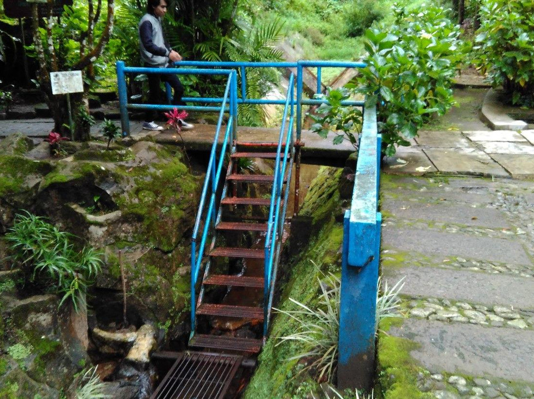 Arboretum Sumber Brantas景点图片