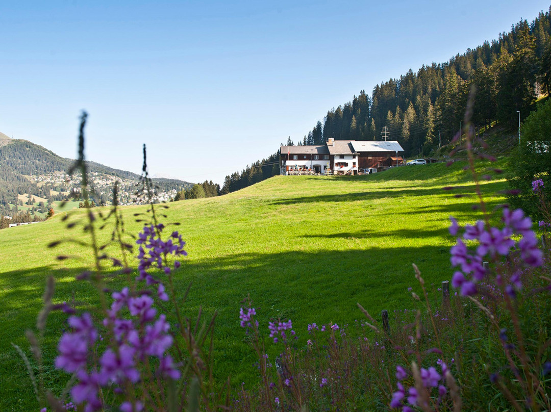 Berggasthaus Crest'Ota