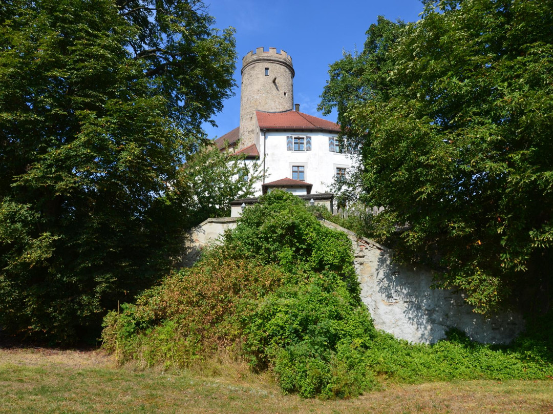 Schloss Thierlstein景点图片