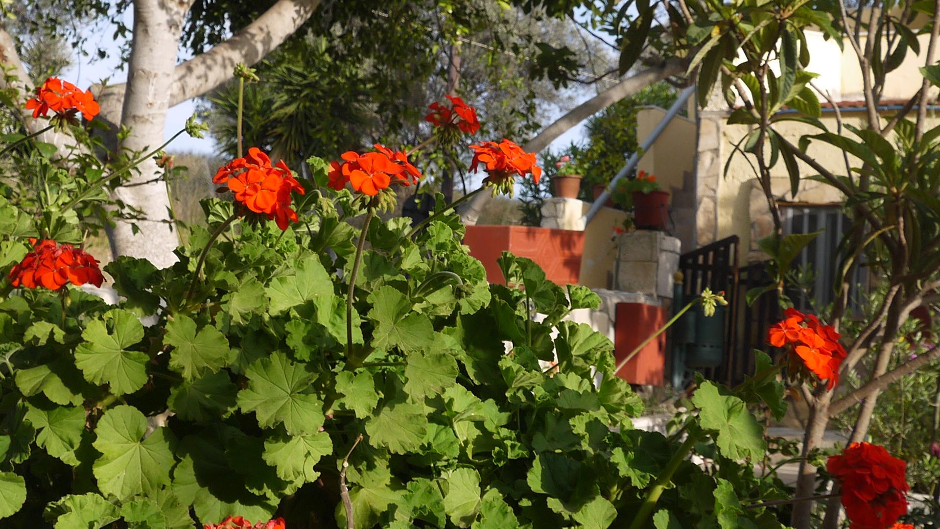 Villa Costas - Popi-酒店景观