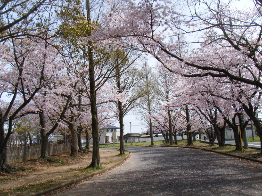 Onda Sports Park-宇部市必去景点
