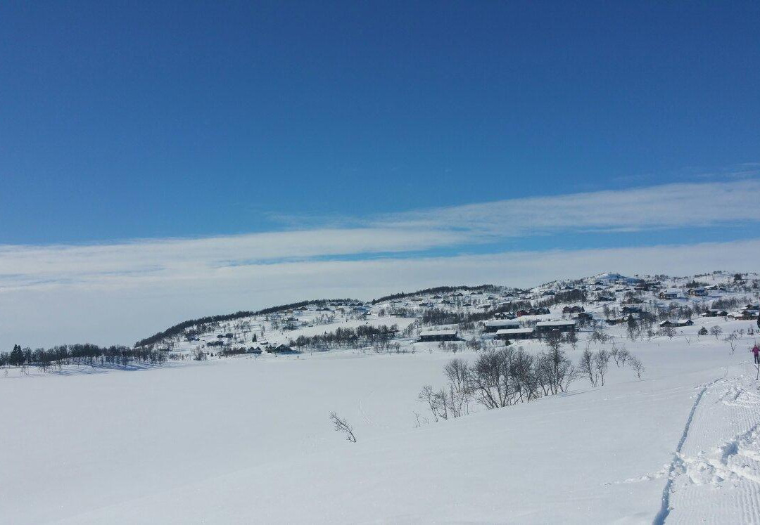 Vierli Terrain Park