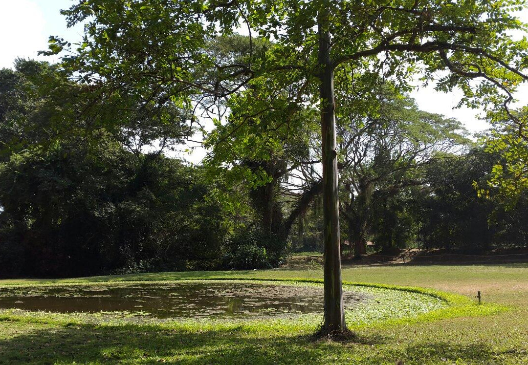 Parque de la Exotica Flora Tropical景点图片