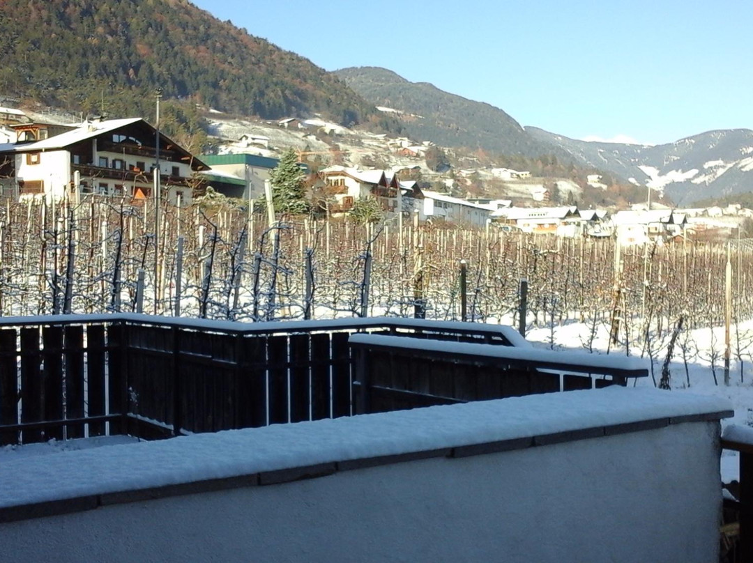 Riedingerhof