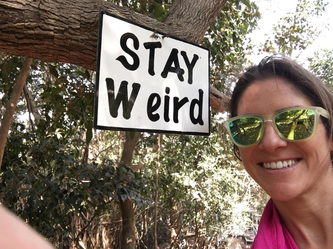 Brahmani Yoga-安朱纳必去景点