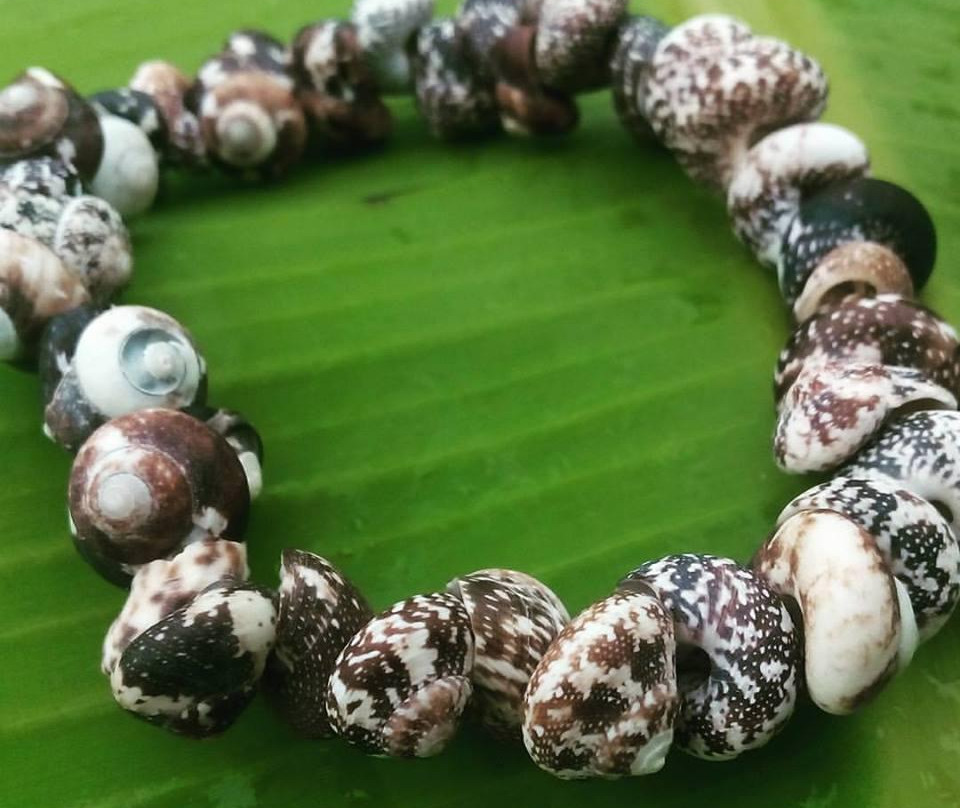 The Blue Seahorse Gift Shop-Rock Sound必去景点