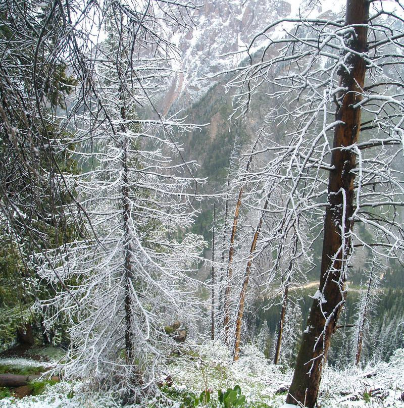 Left Talgar Gorge-Almaty Region必去景点