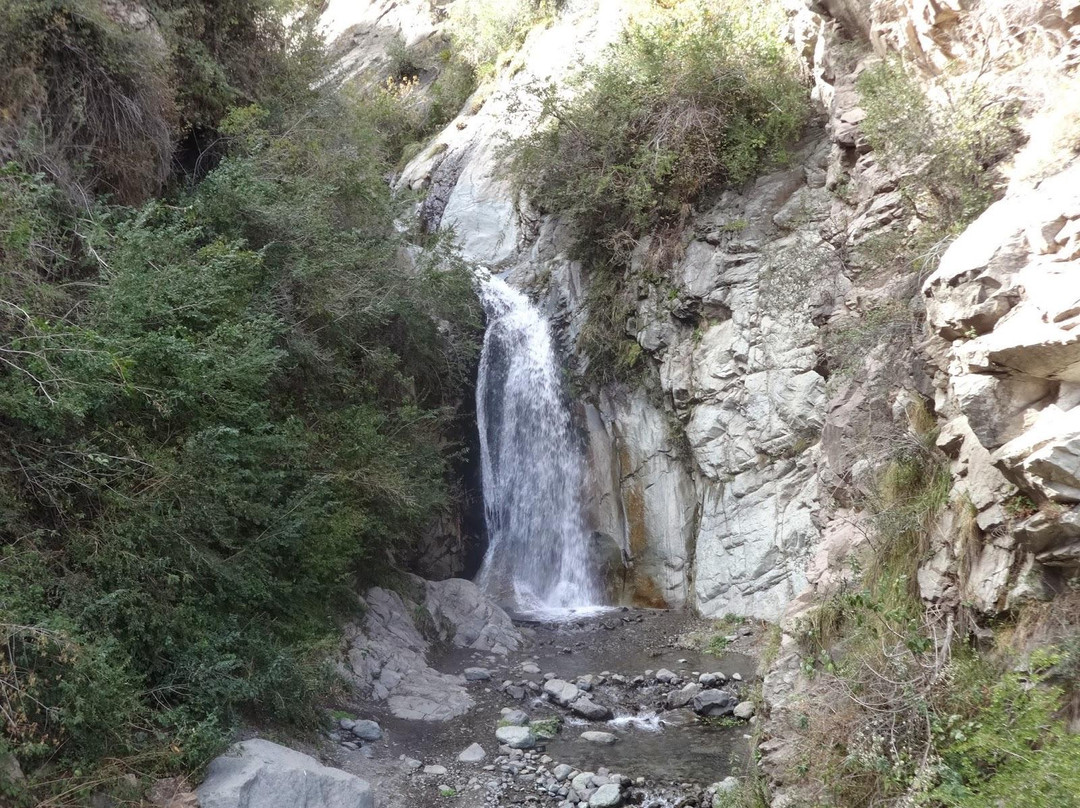 Parque Quebrada de Macul景点图片