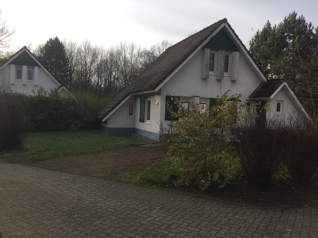 Vakantiepark Bosmeer Friesland