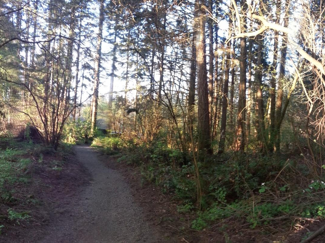 Hyland Forest Park-比弗顿必去景点