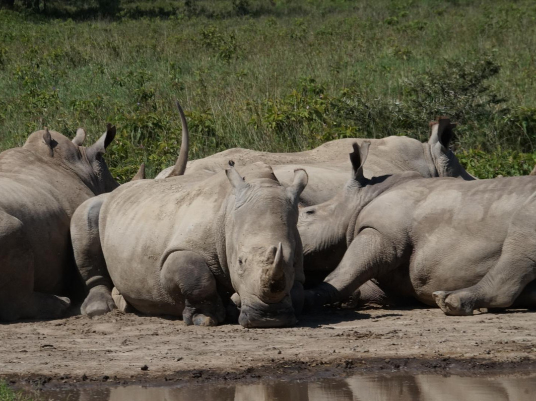 It Started in Africa-Marangu必去景点