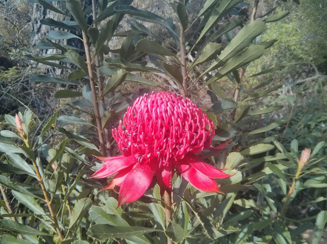 Highlands Adventure Co-Bundanoon必去景点