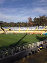 Estadio Sausalito-比尼亚德尔马必去景点