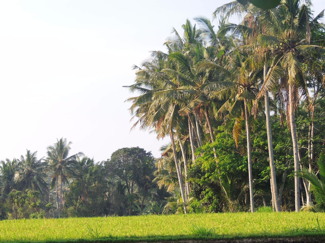 Guliang Kangin-邦利必去景点
