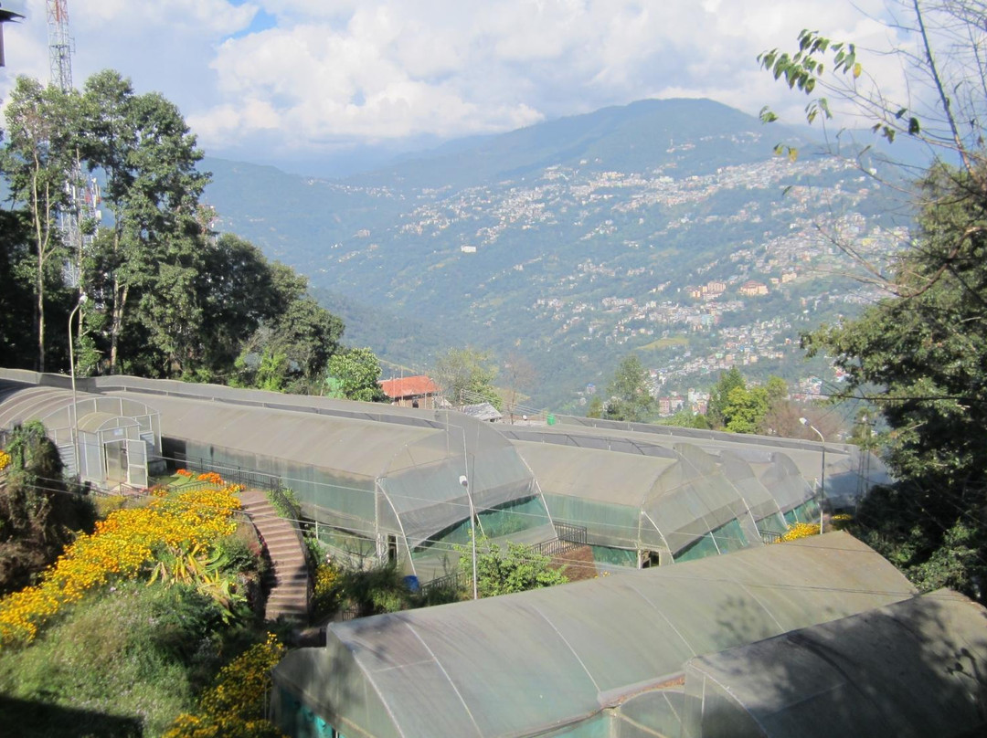 Shanti View Point-甘托克必去景点