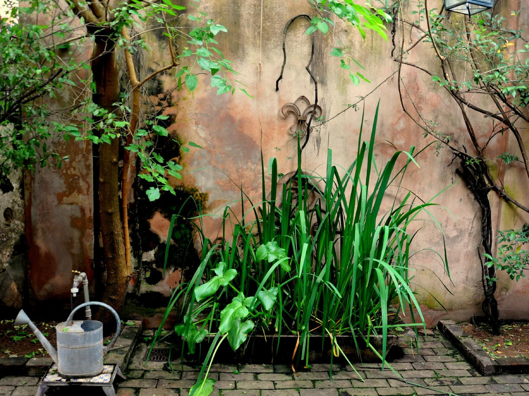 Villa Lia酒店住宿-Antigua Casona