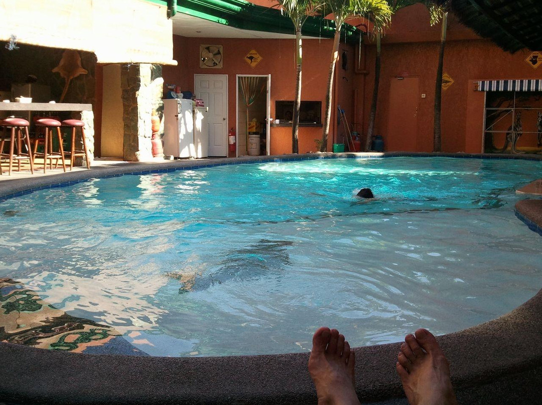 Walkabout Hotel