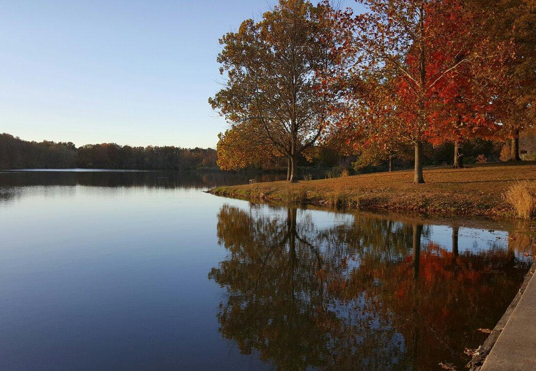 Homer Lake Forest Preserve-Homer必去景点