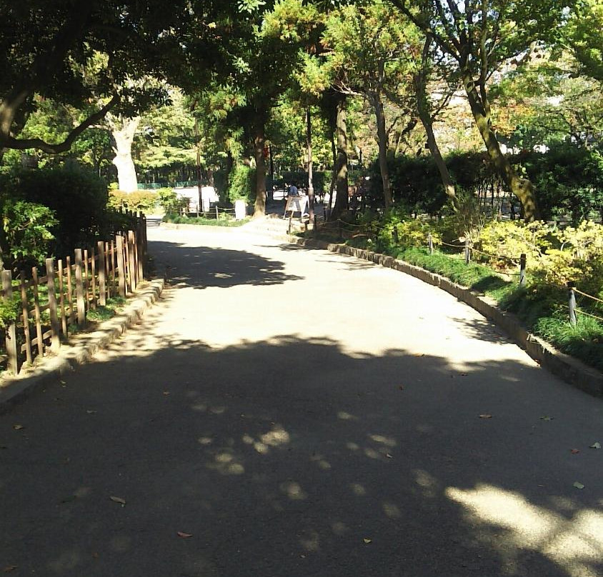Mabashi Park-杉并区必去景点