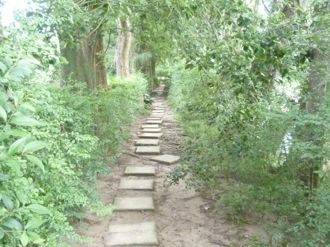 Sendero de Caminatas Arroyo Rama Negra-蒂格雷必去景点