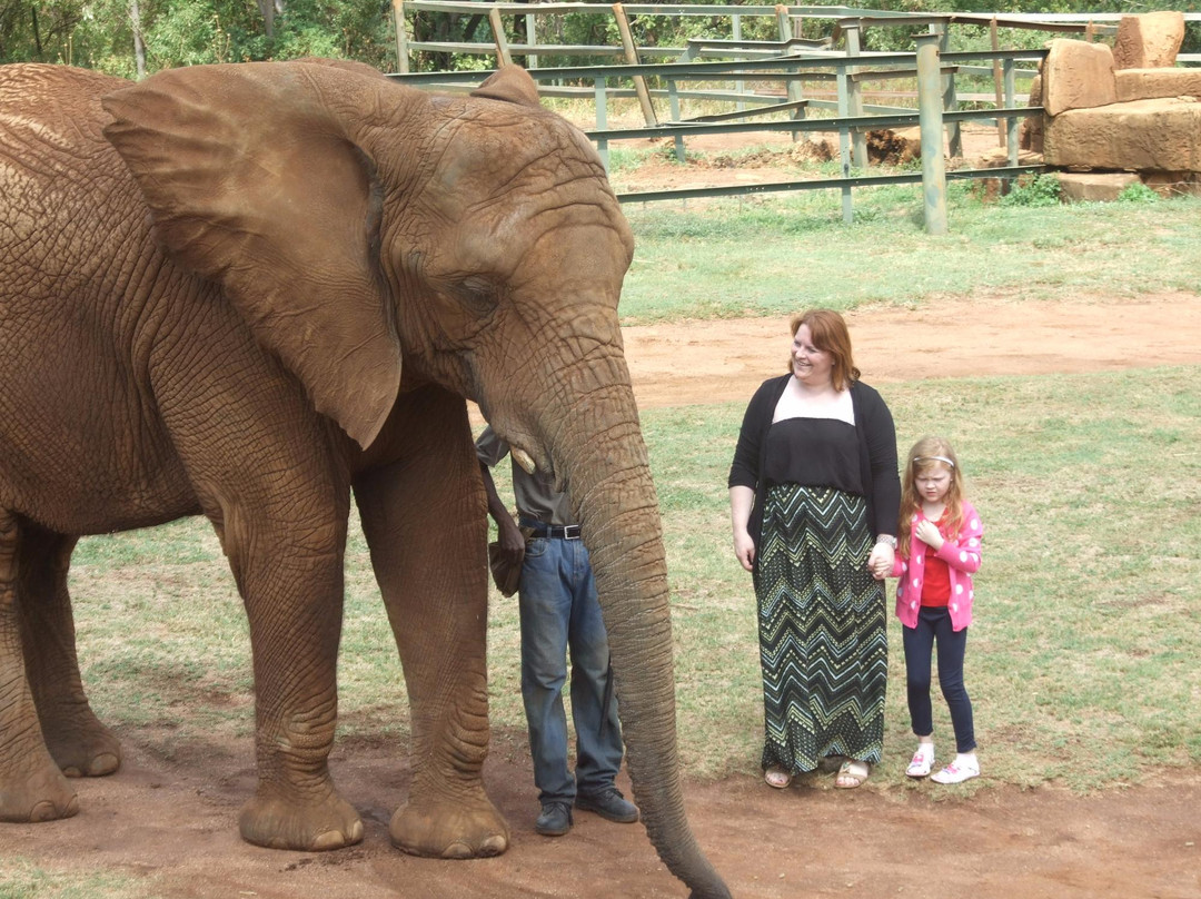 Elephant Sanctuary Hartbeesport Dam-哈特比斯普特必去景点