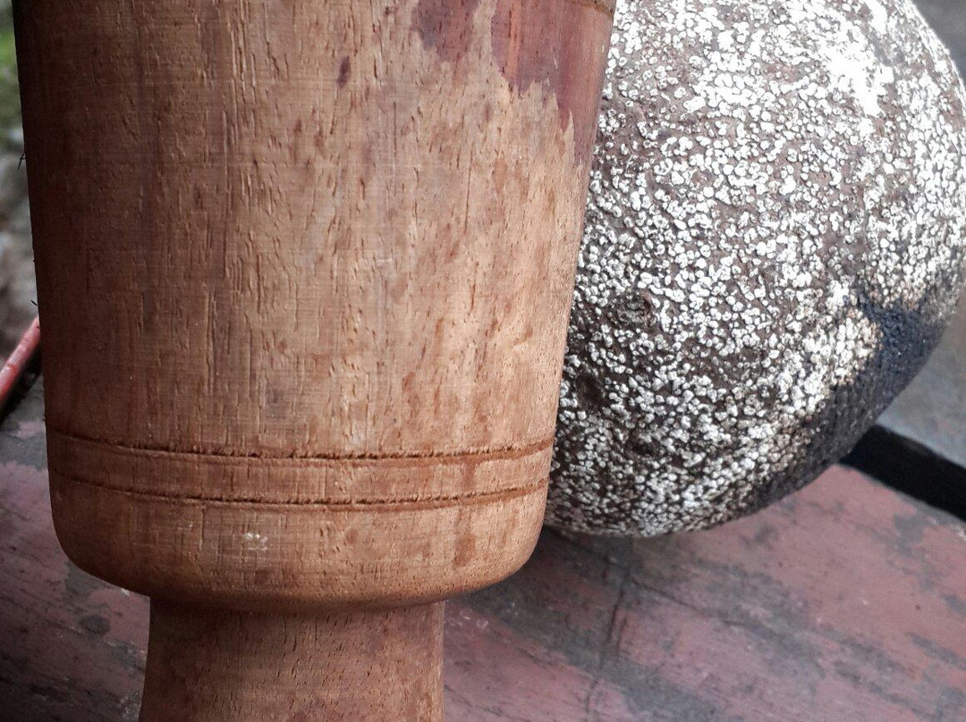 Honey Bees Centre-Saputara必去景点