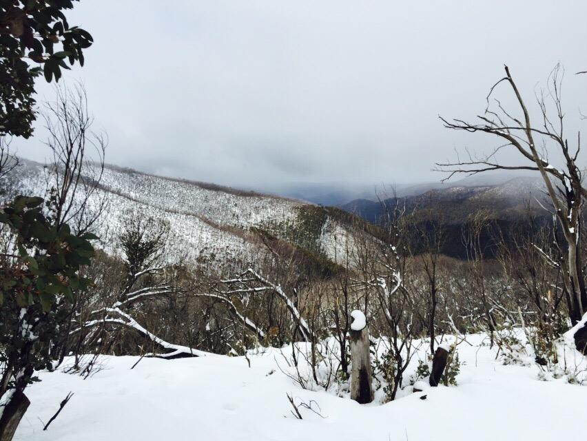 Mount Buller酒店住宿-Tikkandi