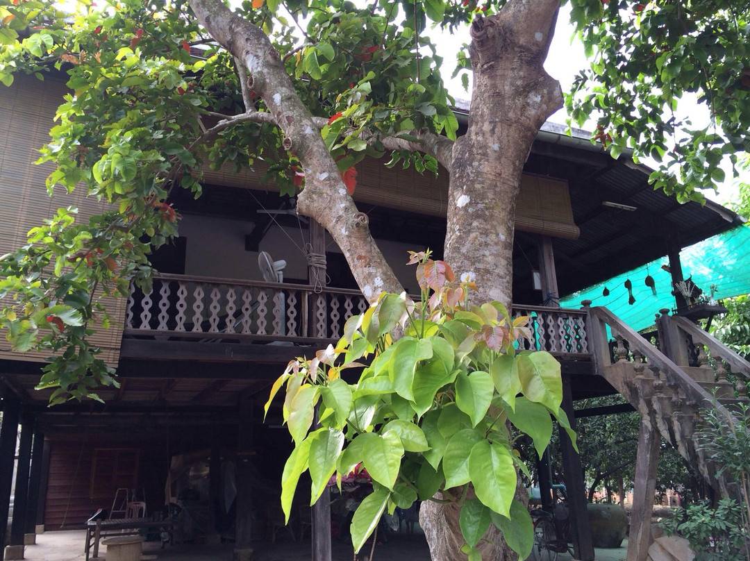 Mrs. Bun Roeung's Ancient House-马德望必去景点