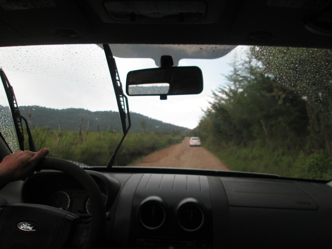 Ekopark Tapalpa-Tapalpa必去景点