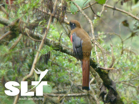 South Land Touring Day Tours-昆卡必去景点