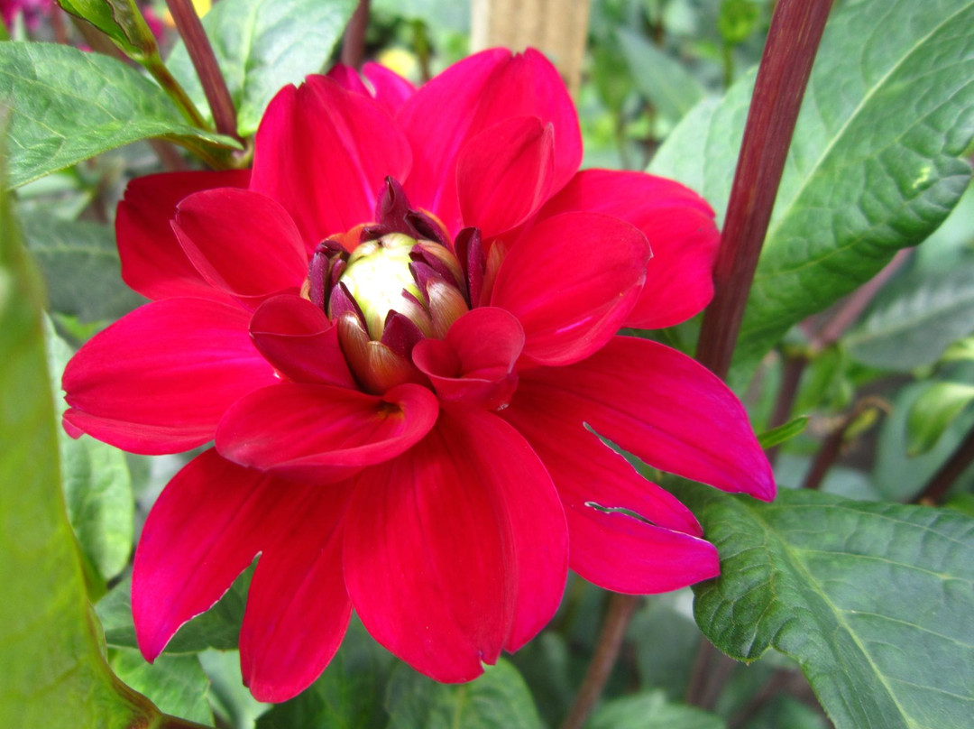 Mezares旅游景点-Botanisches Garten des Universitaets