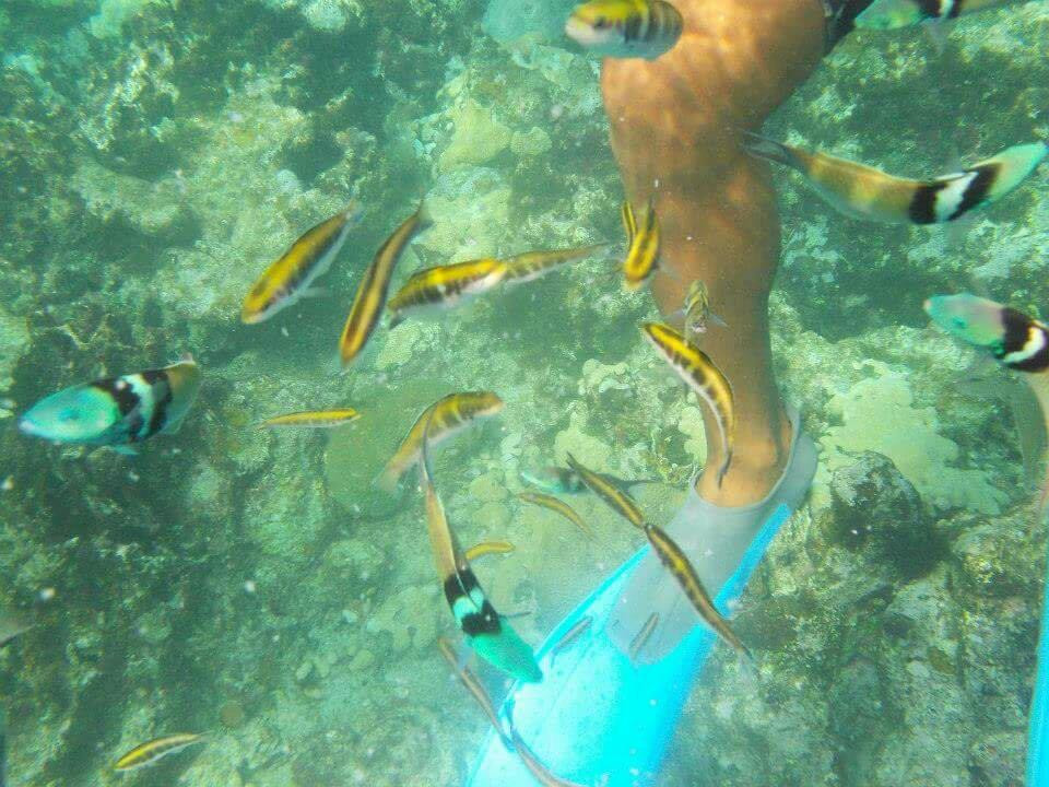 Playa Coral景点图片