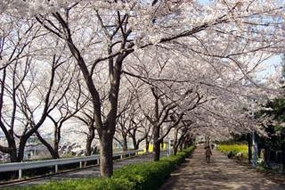 One Street-町田市必去景点