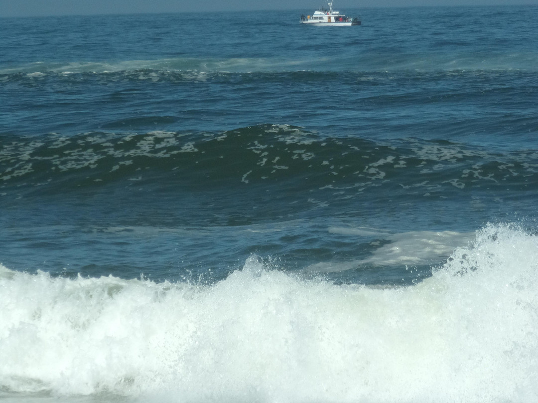 Gleneden Beach State Park-Gleneden Beach必去景点