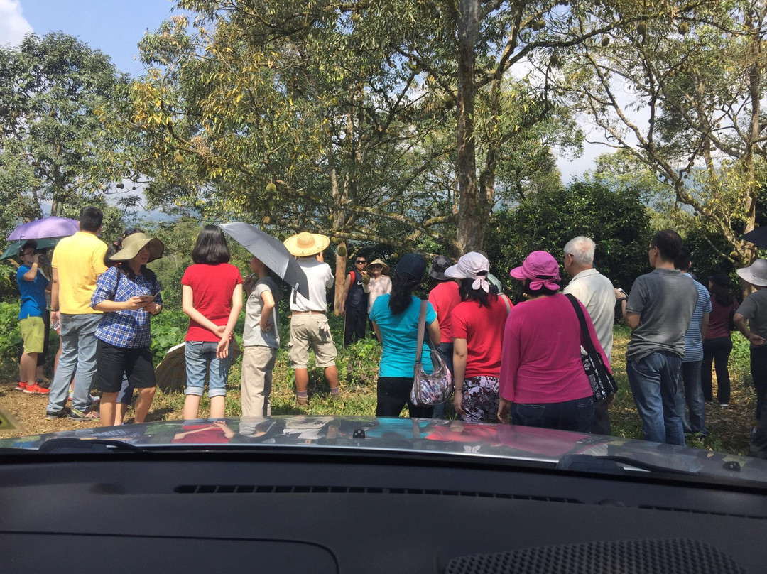 Karak Organic Durian Farm-加叻必去景点