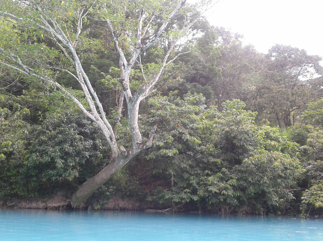 Agua Clara-帕伦克必去景点