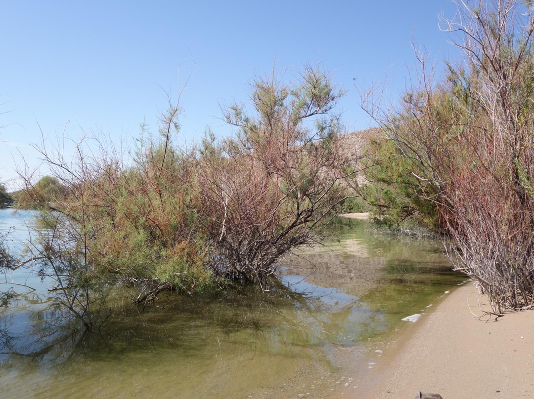 Cottonwood Cove Resort主图