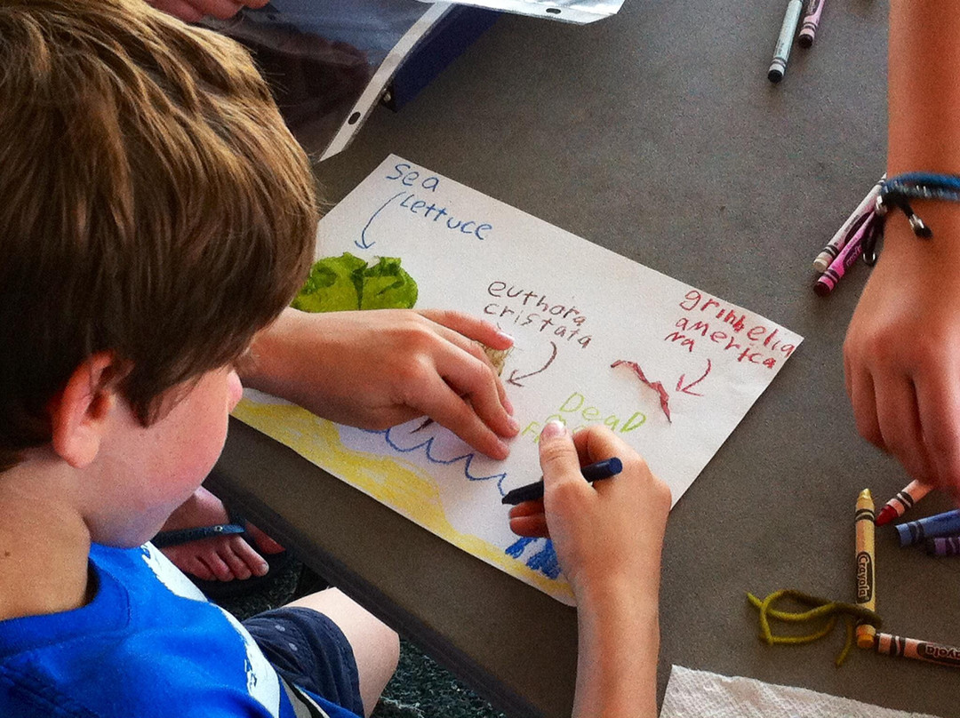 Block Island Maritime Institute-新肖勒姆必去景点