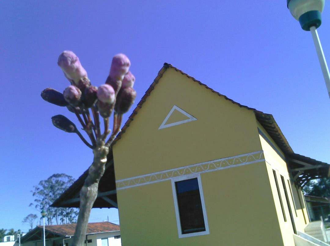 Itajai EthnoArchaeology Museum-Itajai必去景点