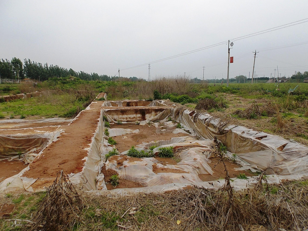 大汶口遗址-泰安市必去景点