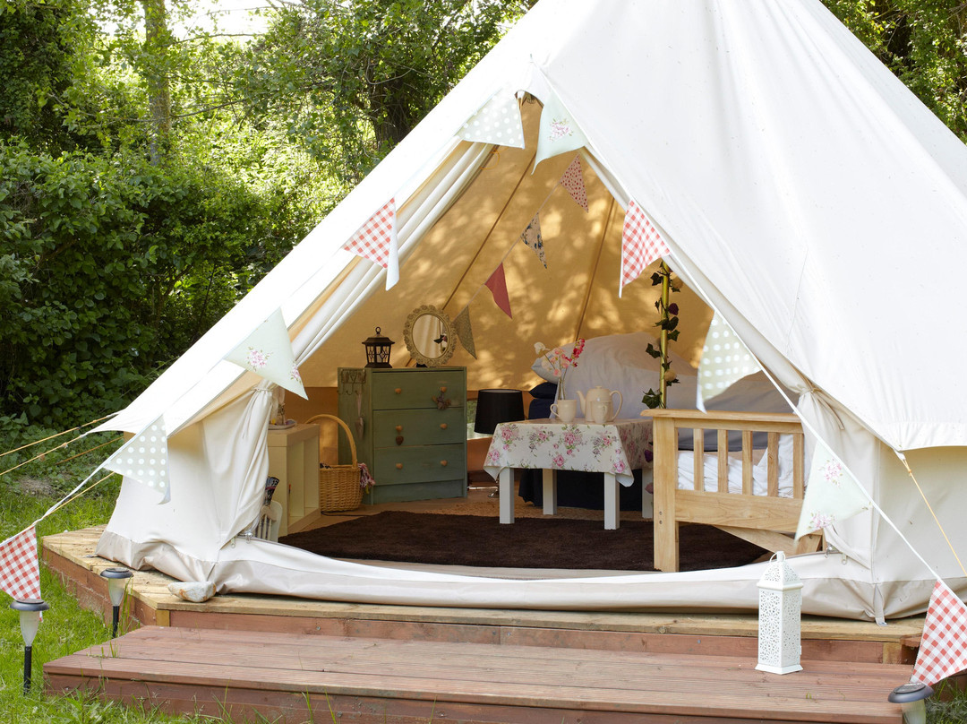 Apse Heath旅游攻略图片