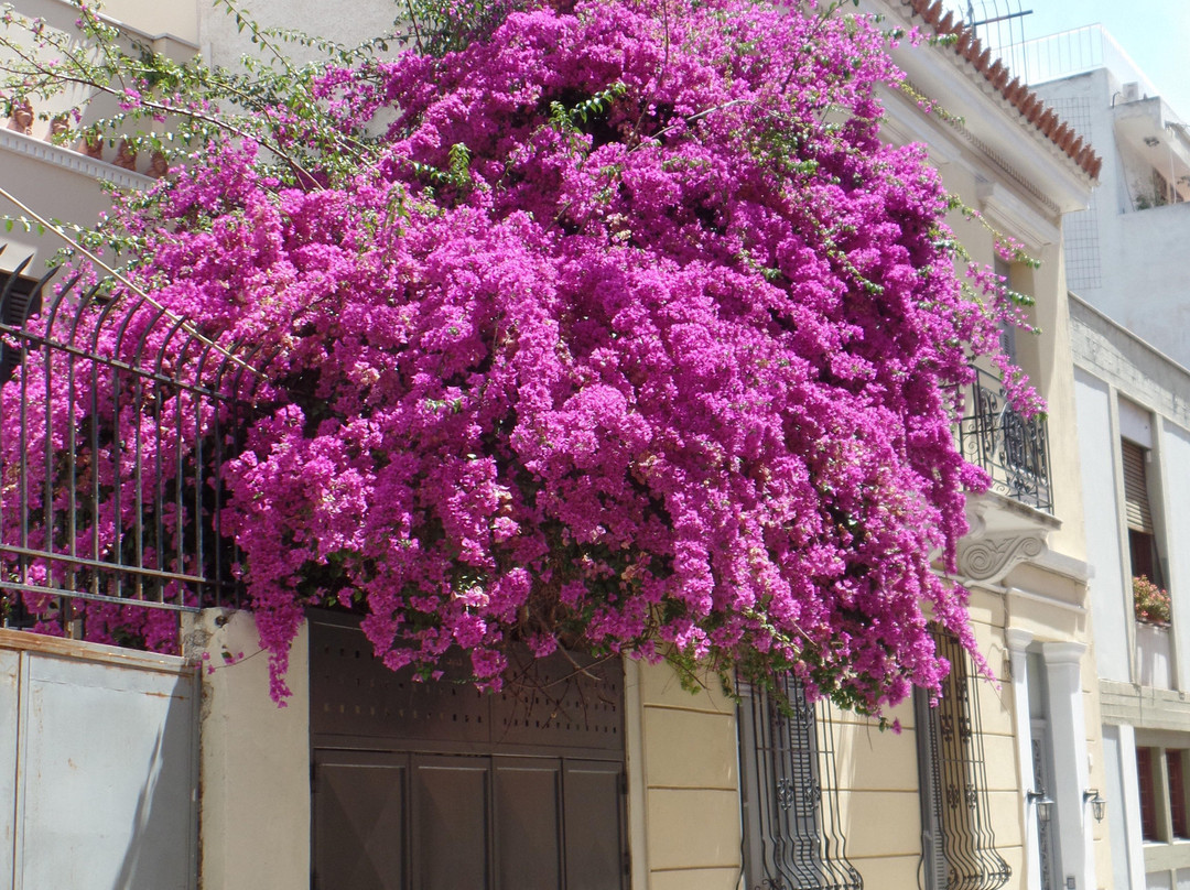 AthensShuttleBus-Artemida必去景点