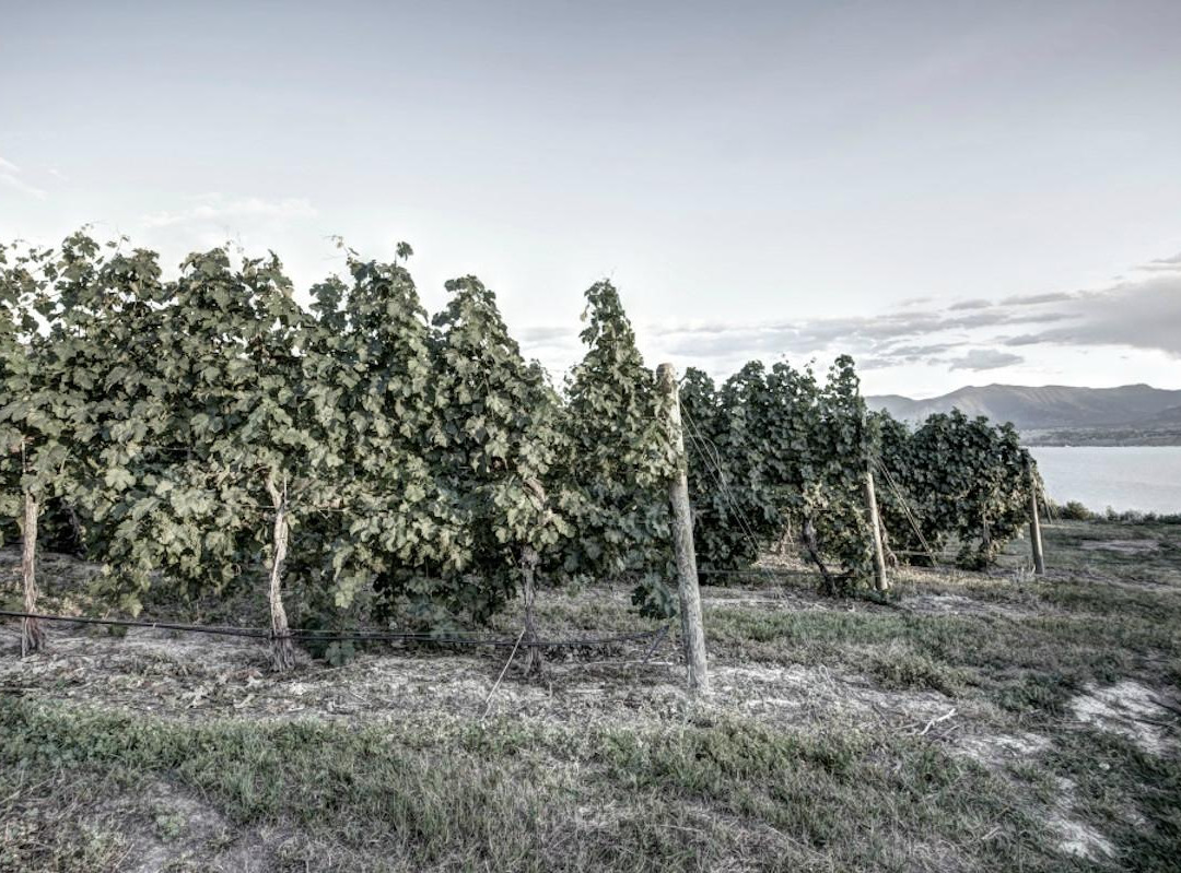 Lock & Worth Winery-彭蒂克顿必去景点