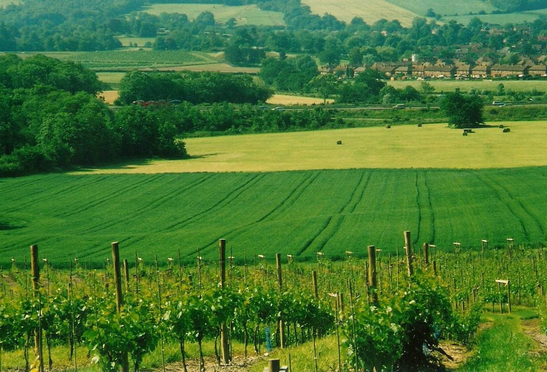 Godstone Vineyards景点图片