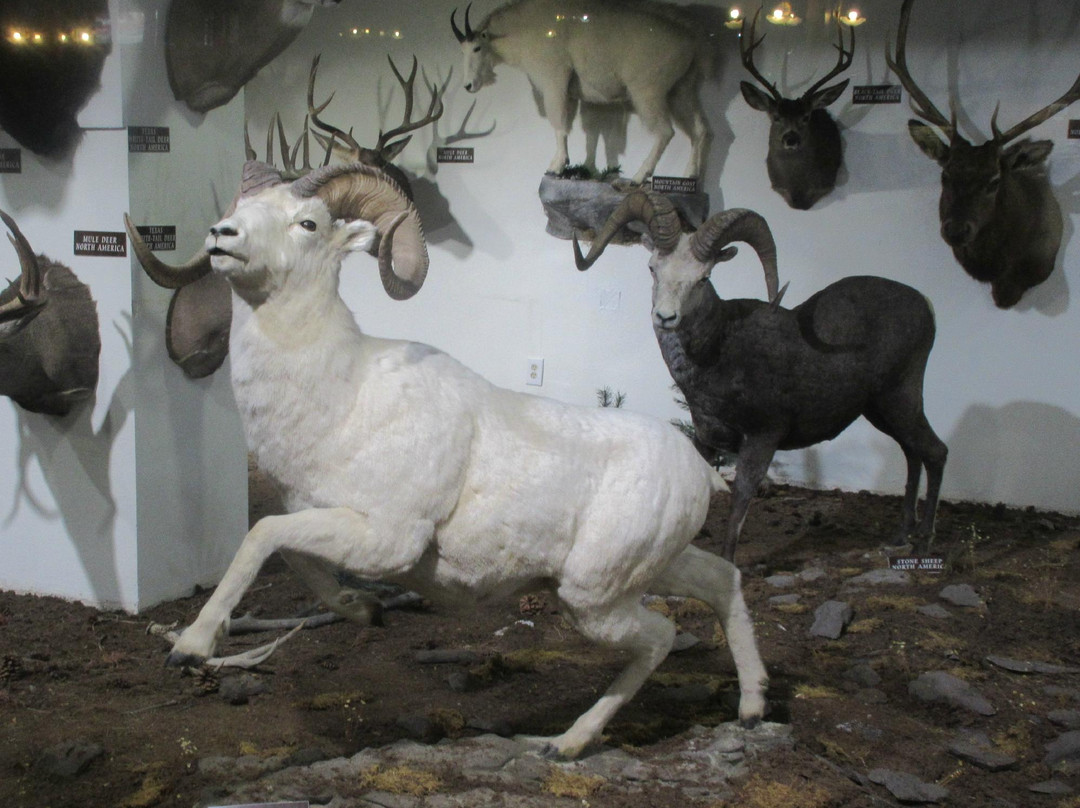 Visitor Center-温尼马卡必去景点