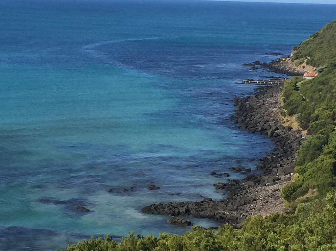 Cape Bridgewater Seal Walk-Cape Bridgewater必去景点